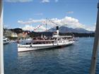 Picture: 080419098.JPG