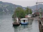 Picture: 06050809.JPG