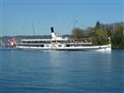 Picture: 11040729.jpg