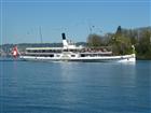 Picture: 11040729.JPG