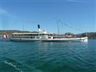 Picture: 11040734.JPG