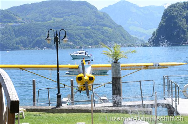 Picture: DSC_6186.JPG