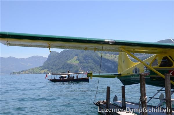 Picture: DSC_6225.JPG