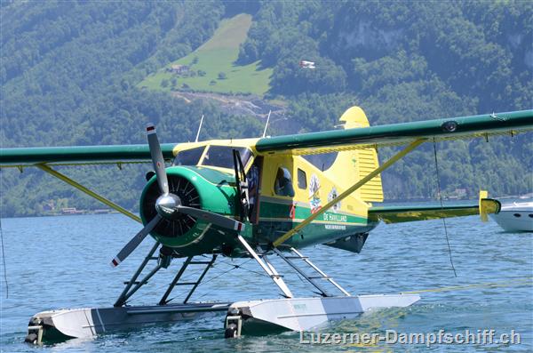 Picture: DSC_6239.JPG