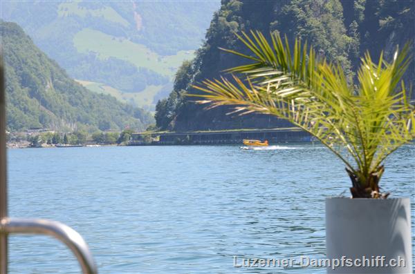 Picture: DSC_6296.JPG