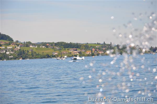 Picture: DSC_6340.JPG