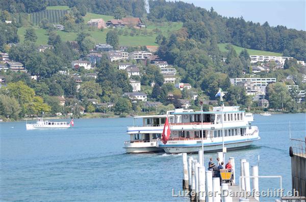 Picture: DSC_6650.JPG