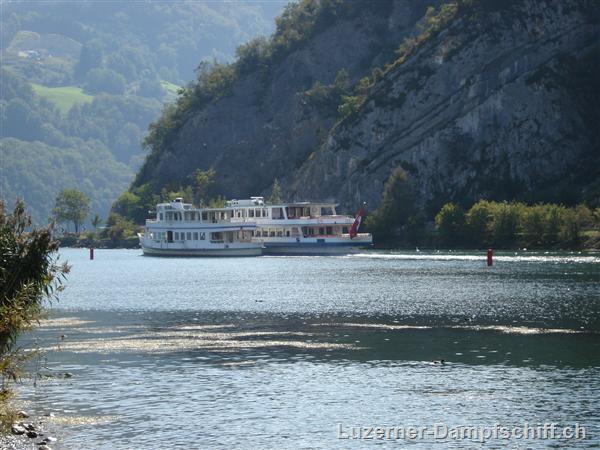 Picture: 11090230.JPG