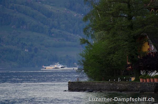 Picture: DSC_4226.jpg
