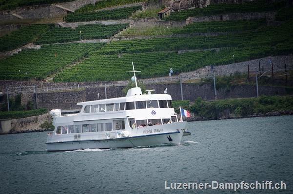 Picture: DSC_7662.jpg