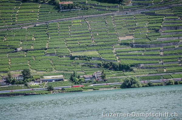 Picture: DSC_7676.jpg
