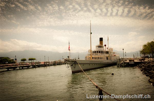 Picture: DSC_7705.jpg
