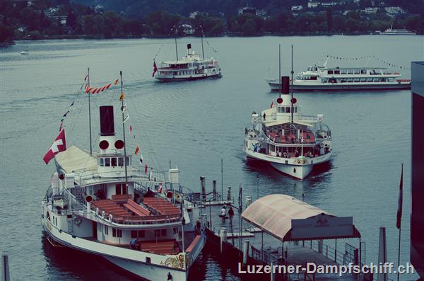 Picture: DSC_9071.jpg