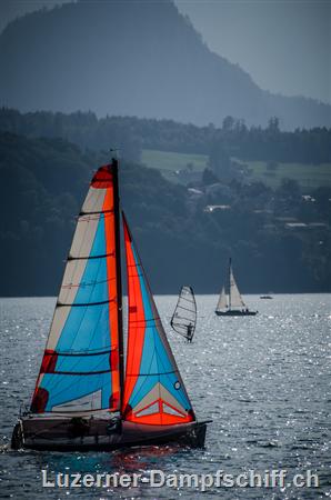 Picture: DSC_9916.jpg